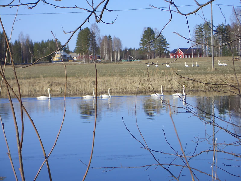 Random header banner 2