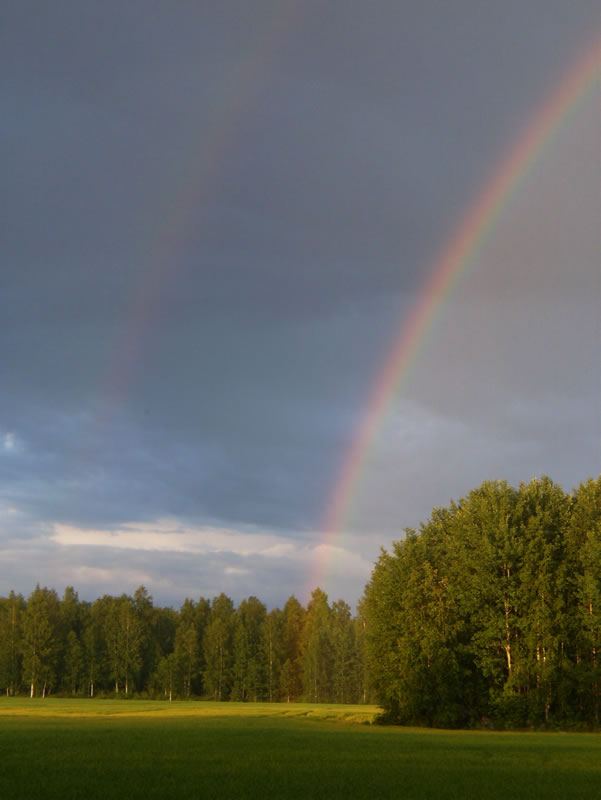 Random header banner 5